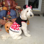 Anni as Minnie mouse