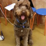 Bailey Bush graduates advanced classes