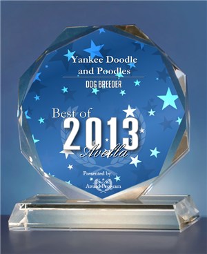 2013 Goldendoodle & Poodle Breeder Award