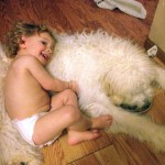 Goldendoodle puppy eating with small child
