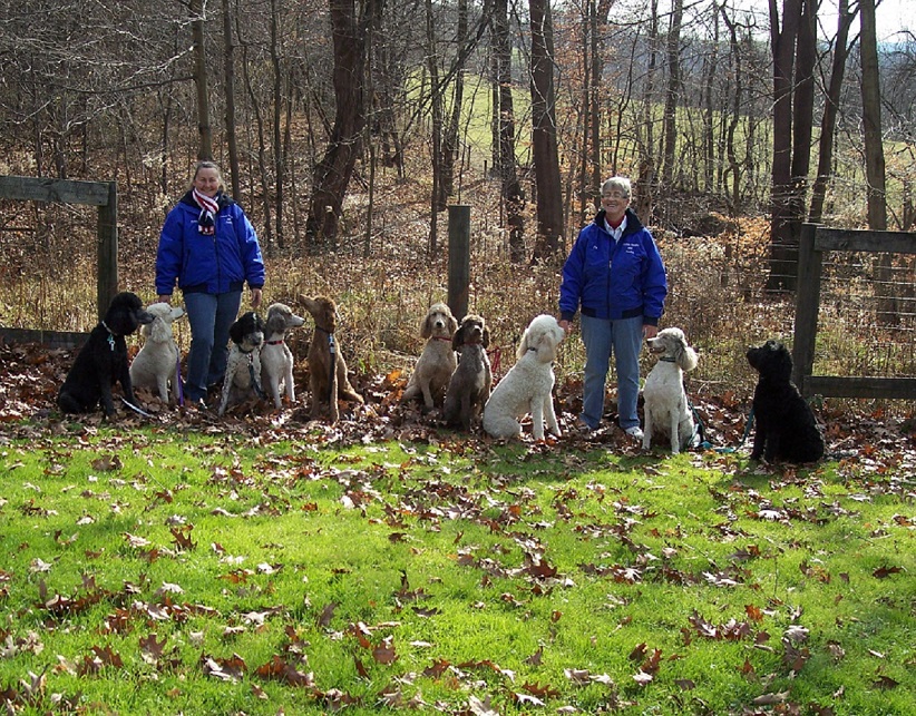 Yankee Doodle's owners standing in front of woods with their dogs