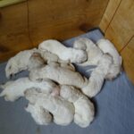 DSC06406